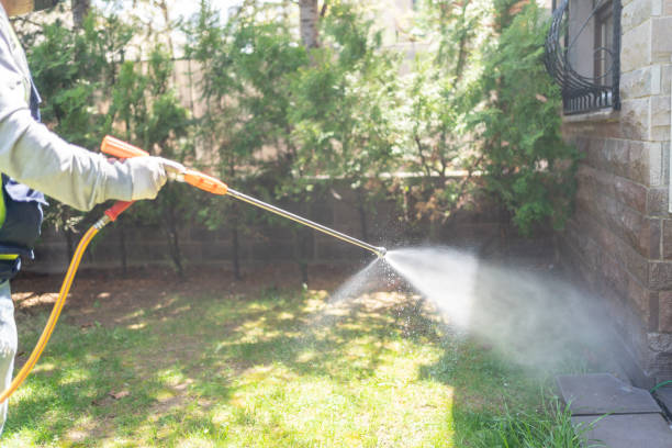 Professional Pest Control in Rio Grande City, TX